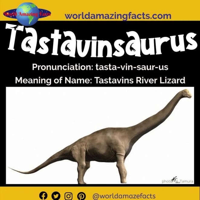 Tastavinsaurus dinosaur