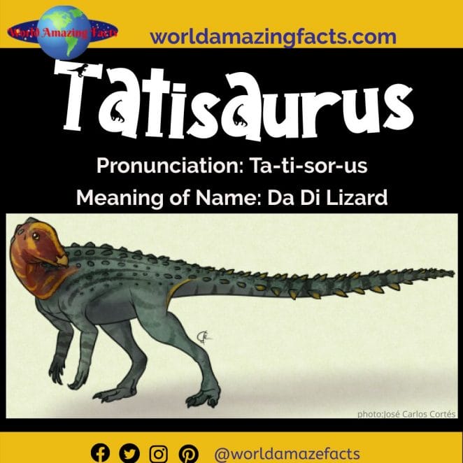Tatisaurus dinosaur
