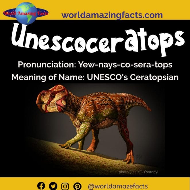 Unescoceratops dinosaur
