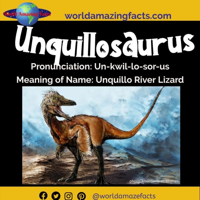 Unquillosaurus dinosaur