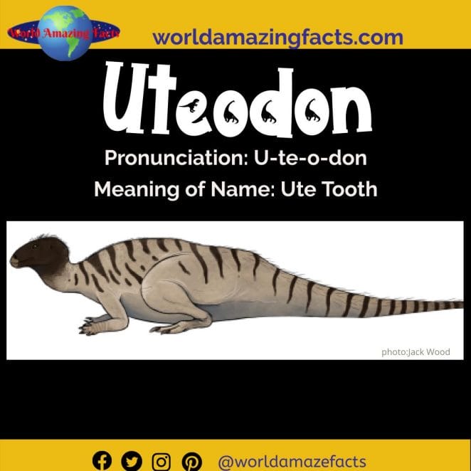 Uteodon dinosaur