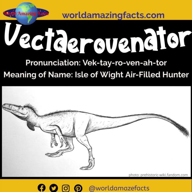 Vectaerovenator dinosaur