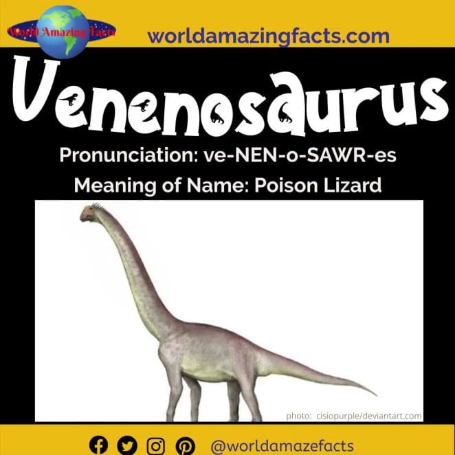 Venenosaurus dinosaur