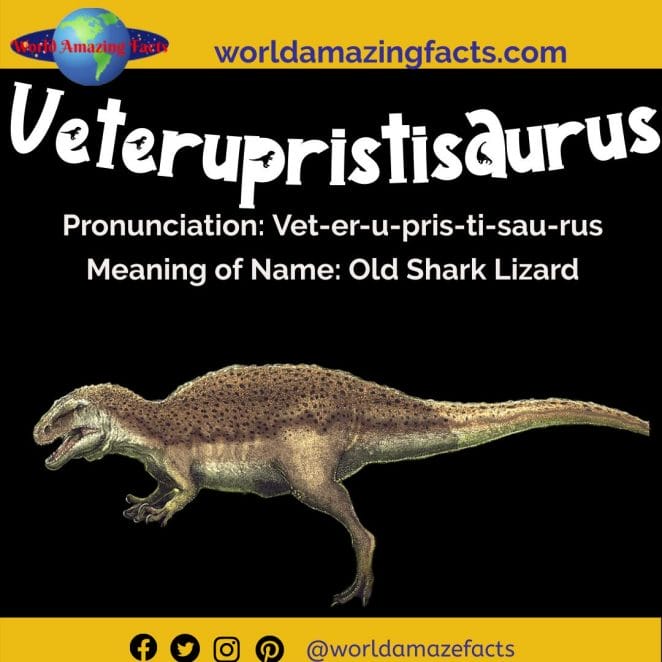 Veterupristisaurus dinosaur
