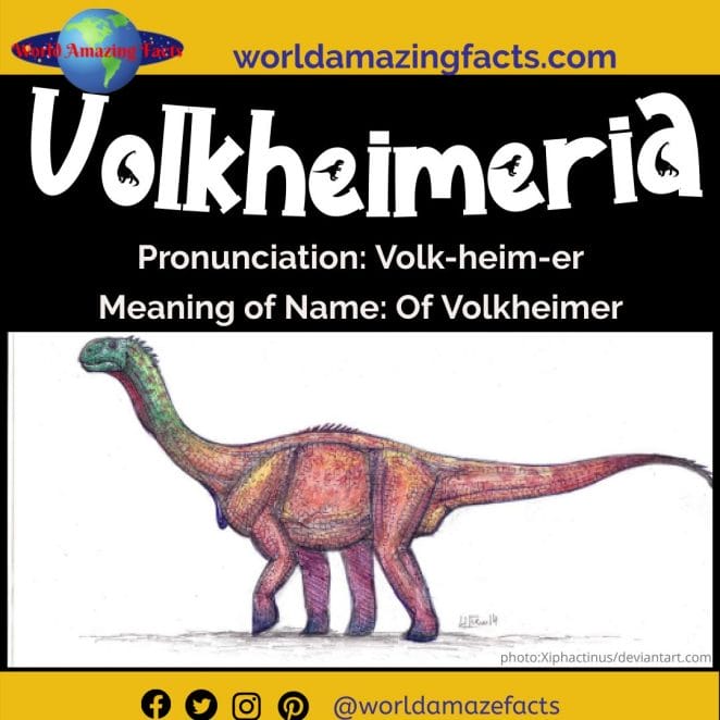 Volkheimeria dinosaur