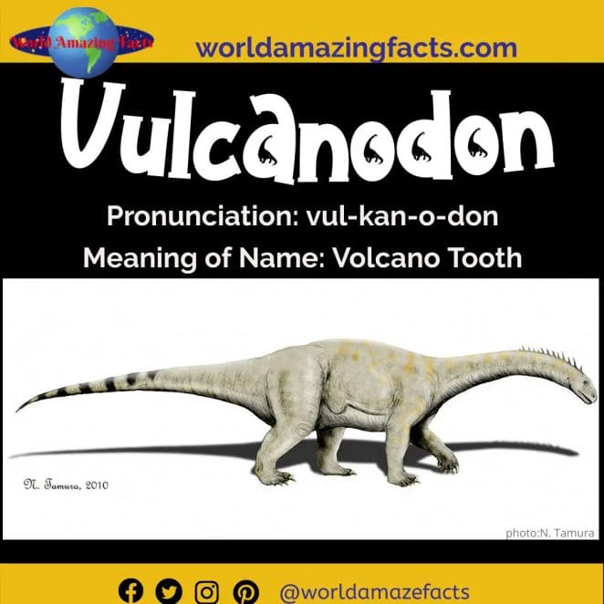Vulcanodon dinosaur