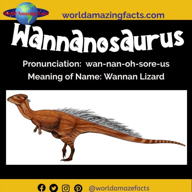 Wannanosaurus dinosaur