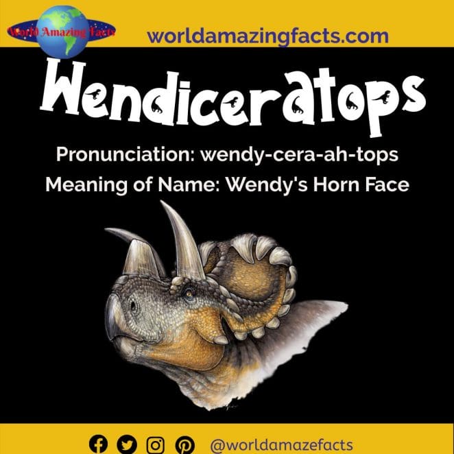 Wendiceratops dinosaur