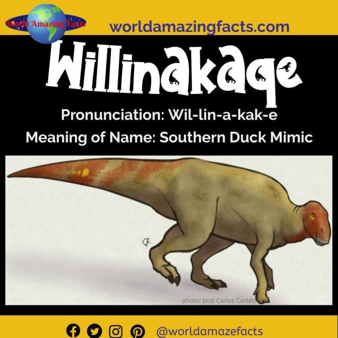 Willinakaqe dinosaur