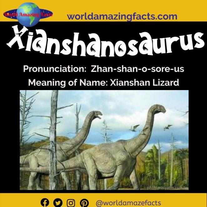 Xianshanosaurus dinosaur
