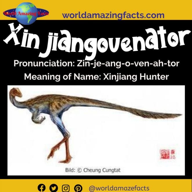 Xinjiangovenator dinosaur