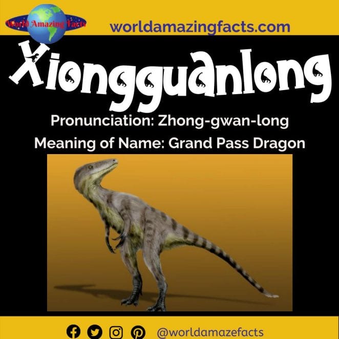 Xiongguanlong dinosaur