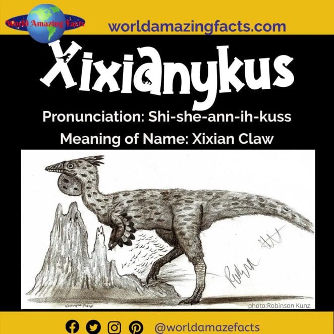 Xixianykus dinosaur