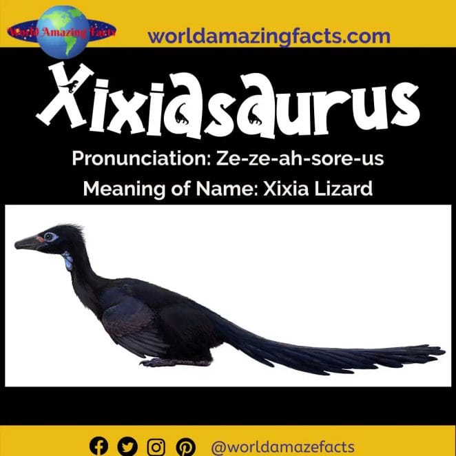 Xixiasaurus dinosaur 