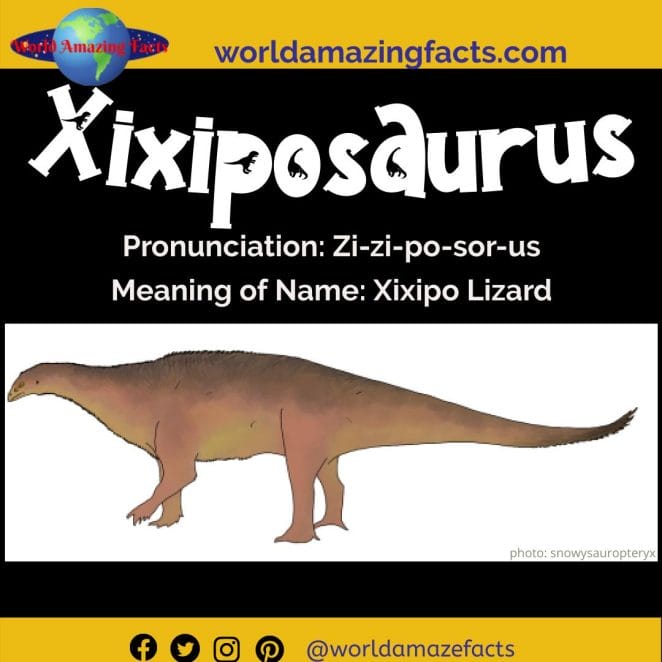 Xixiposaurus dinosaur