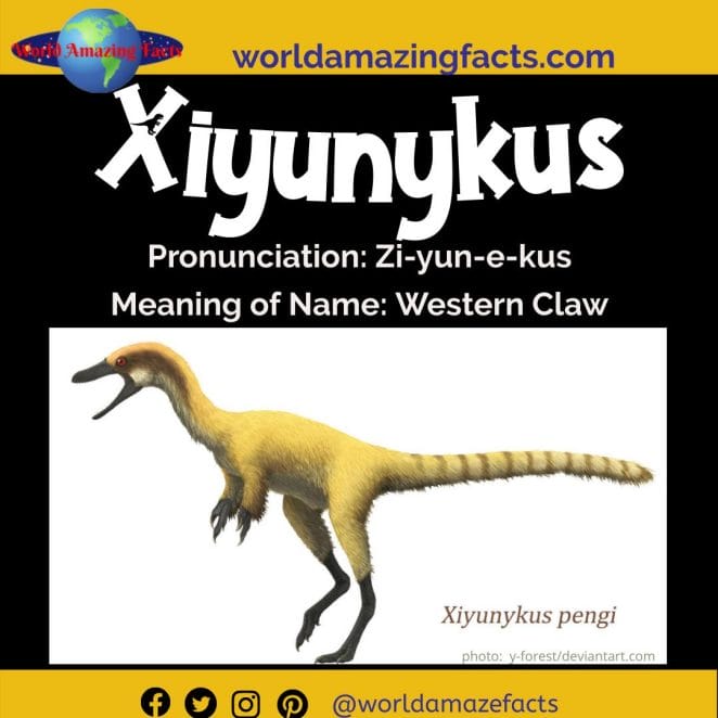 Xiyunykus dinosaur