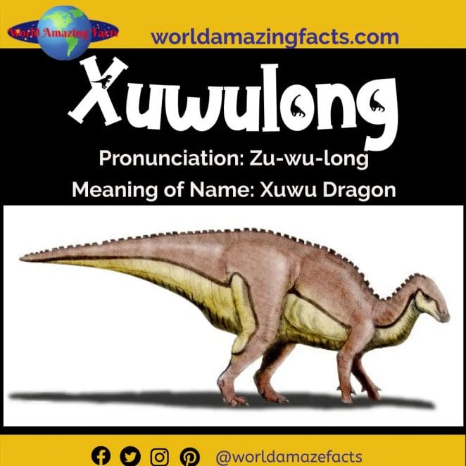 Xuwulong dinosaur