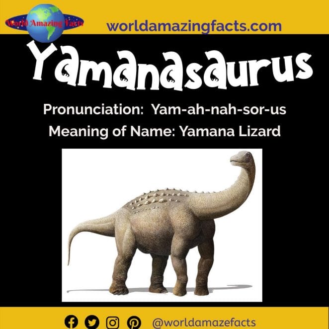 Yamanasaurus dinosaur
