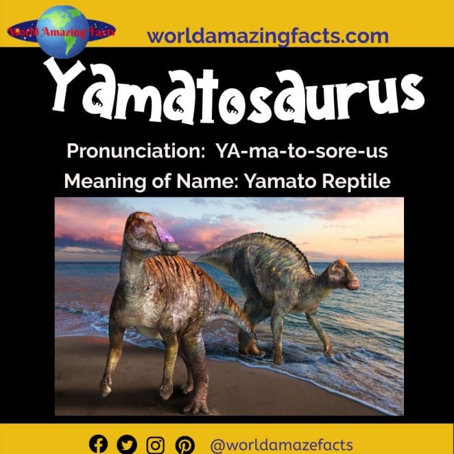 Yamatosaurus dinosaur