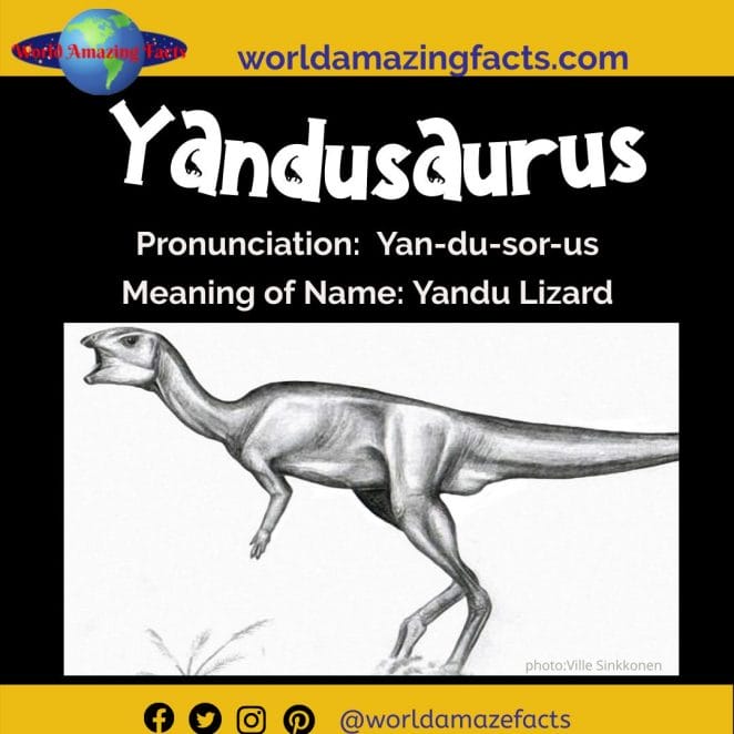 Yandusaurus dinosaur