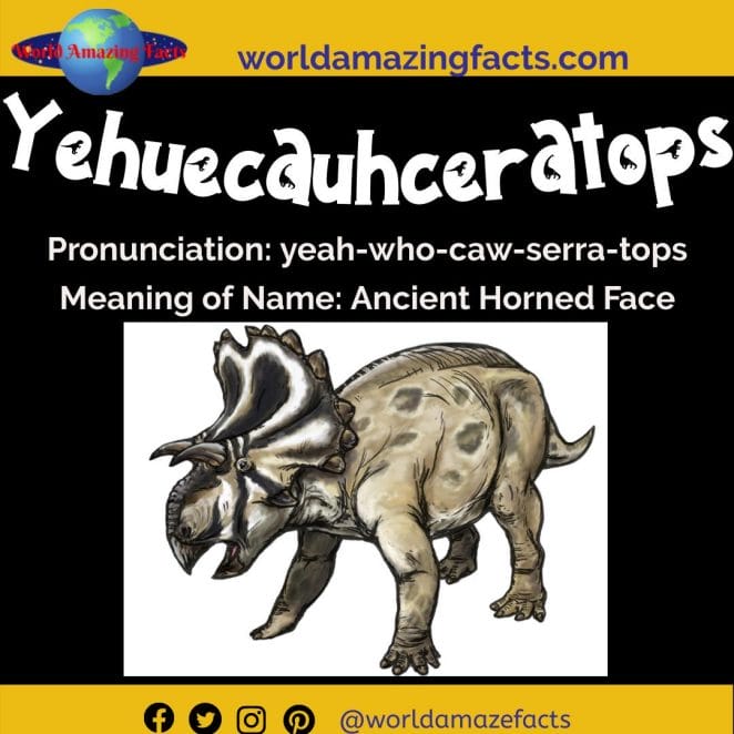 Yehuecauhceratops dinosaur