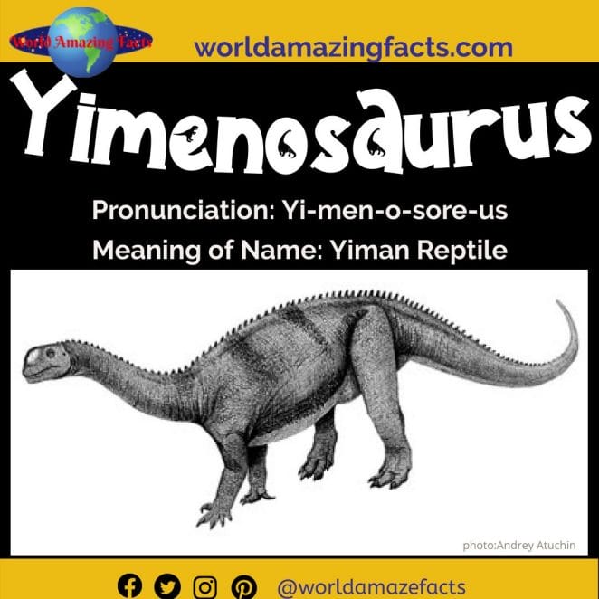 Yimenosaurus dinosaur