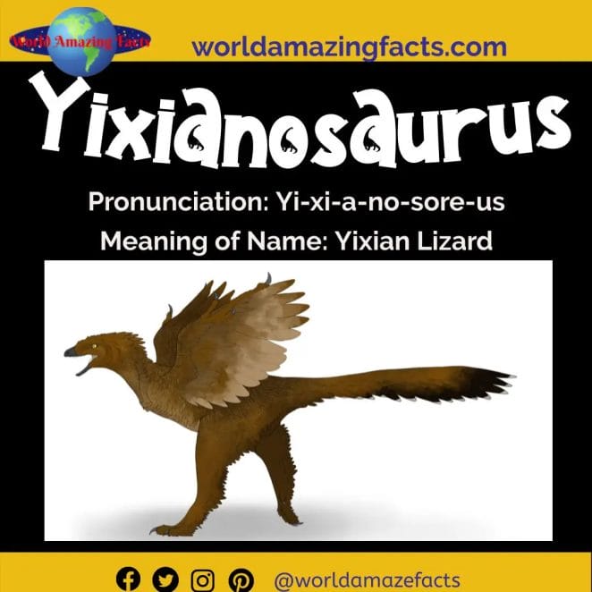 Yixianosaurus dinosaur