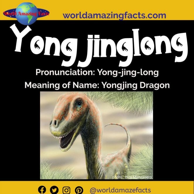 Yongjinglong dinosaur