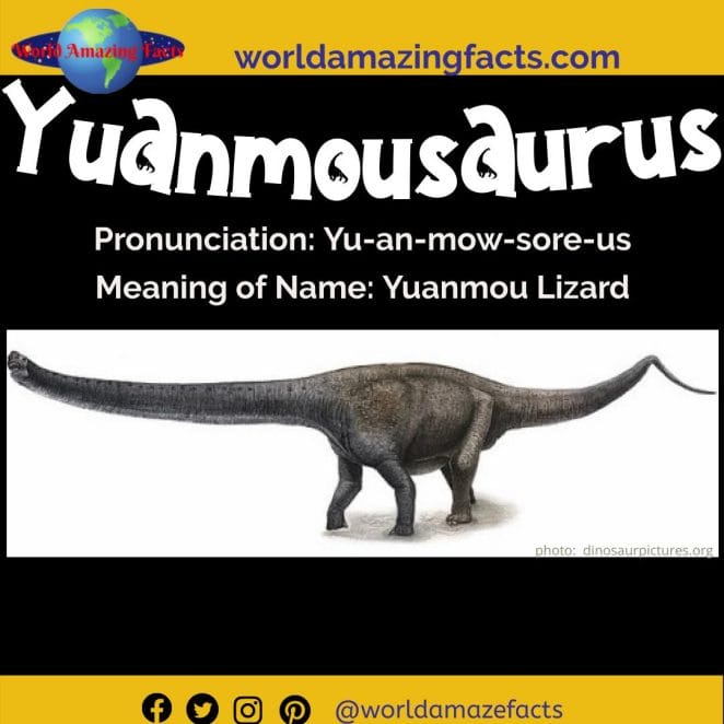 Yuanmousaurus dinosaur