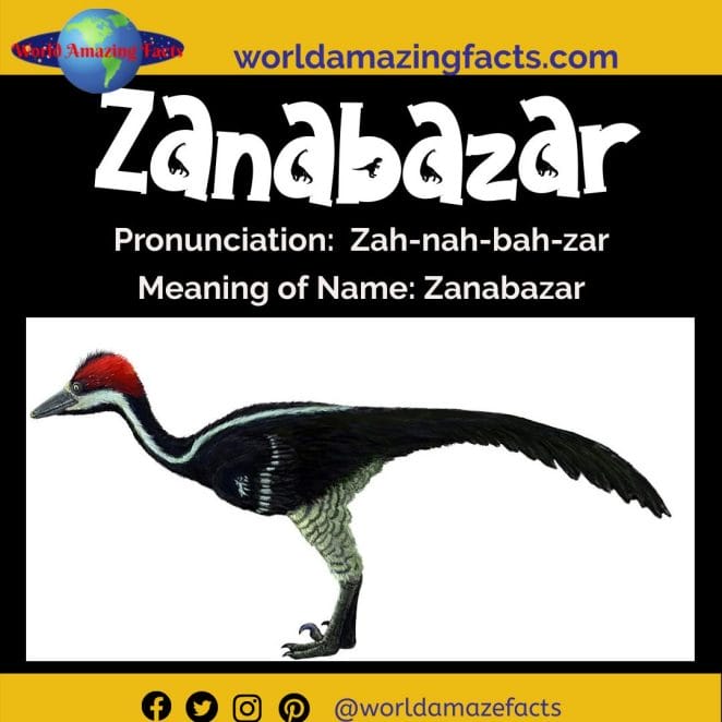 Zanabazar dinosaur