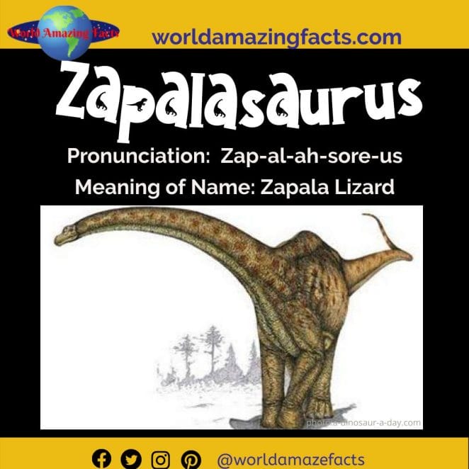 Zapalasaurus dinosaur