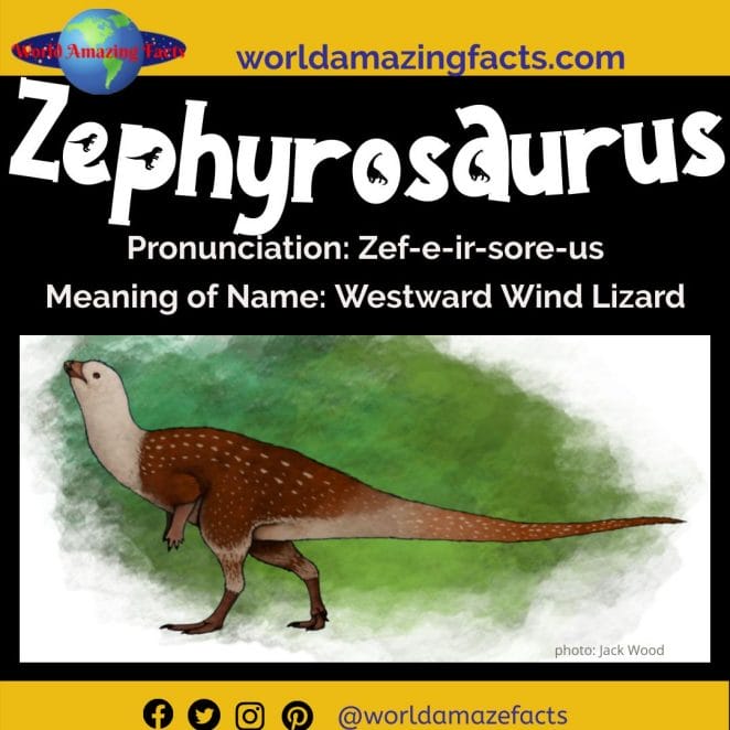 Zephyrosaurus dinosaur