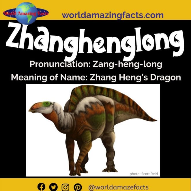 Zhanghenglong dinosaur