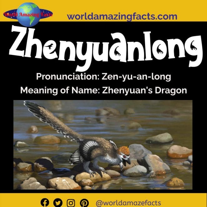 Zhenyuanlong dinosaur