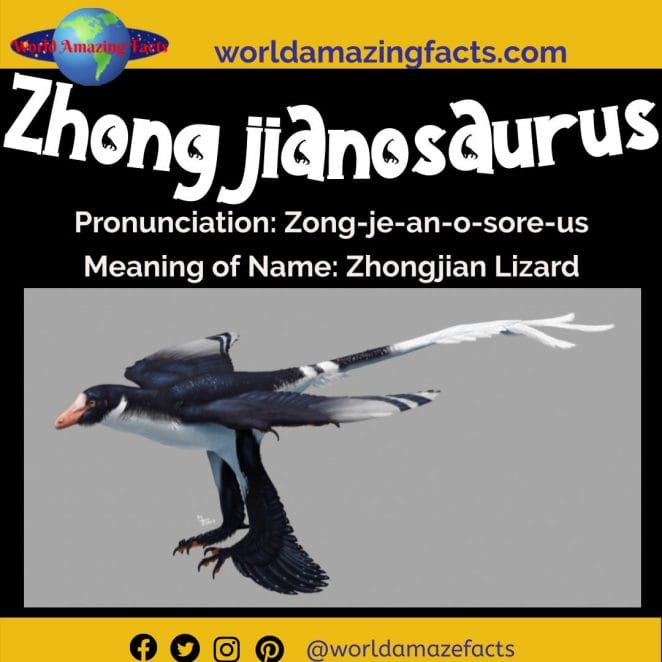 Zhongjianosaurus dinosaur