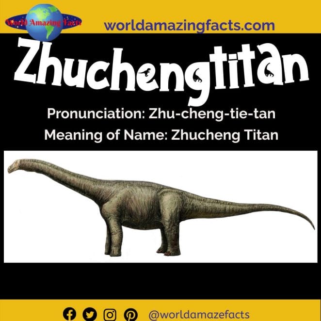 Zhuchengtitan dinosaur 
