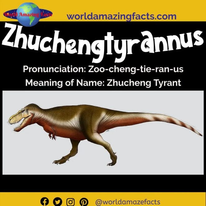 Zhuchengtyrannus dinosaur
