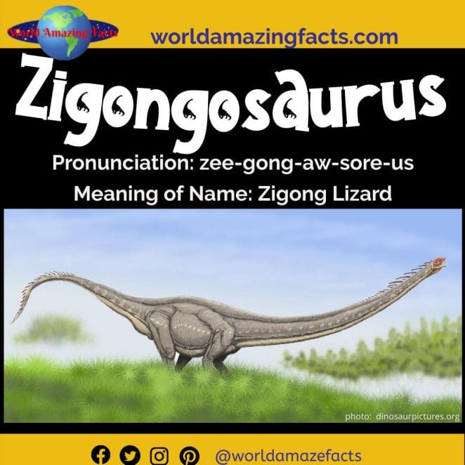 Zigongosaurus dinosaur