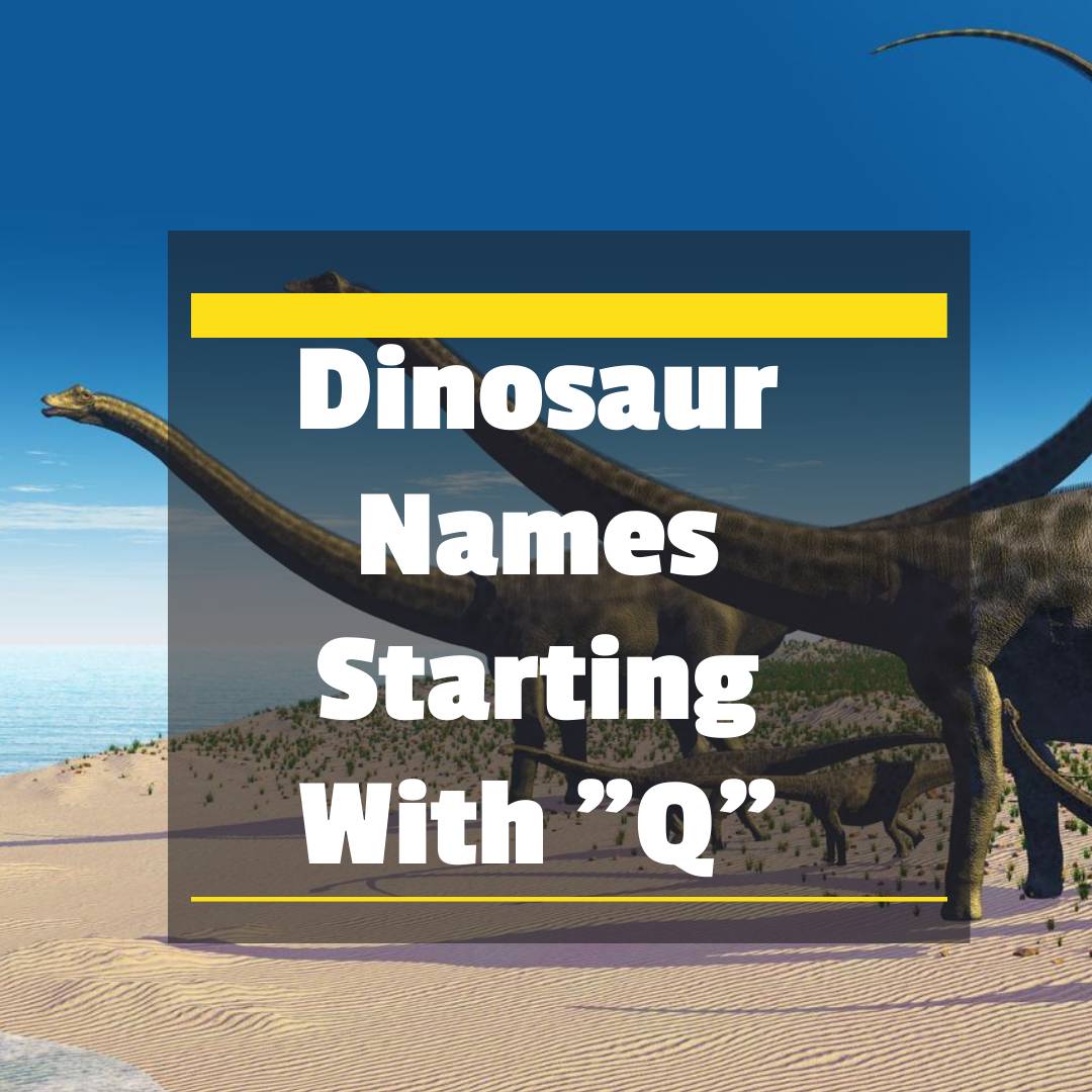 dinosaur-names-that-start-with-q-dinosaur-pictures-facts