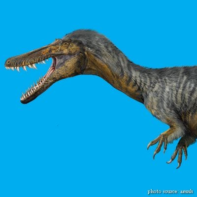 Juvenile T. rex