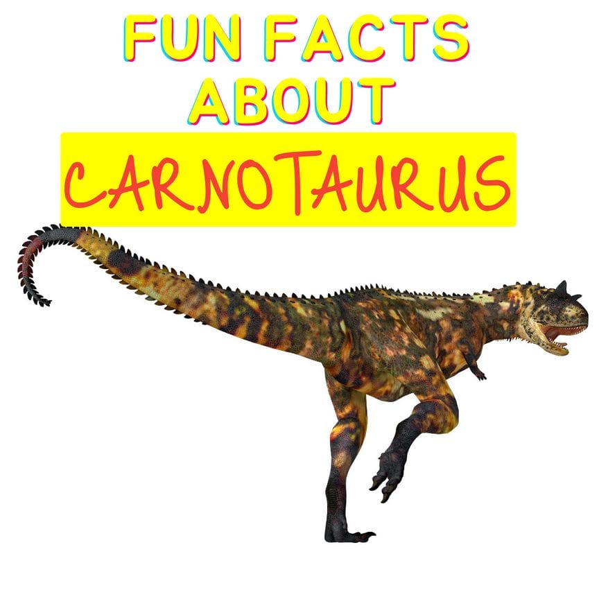 Fun Facts About Carnotaurus Dinosaur Facts