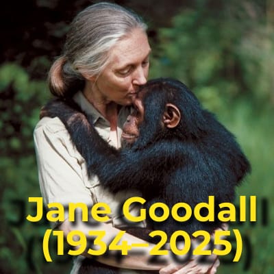 Jane Goodall (1934-2025)