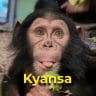 Kyansa Chimpanzee